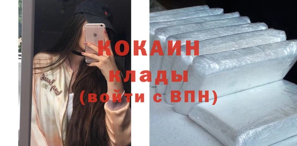 прущие грибы Киреевск