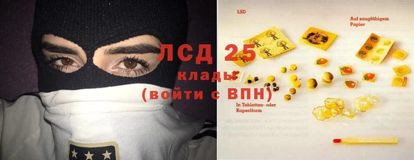 прущие грибы Киреевск