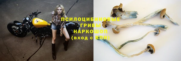прущие грибы Киреевск