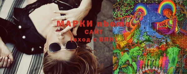 прущие грибы Киреевск