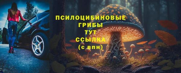 прущие грибы Киреевск