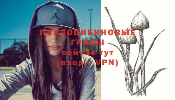 гашик Кинешма