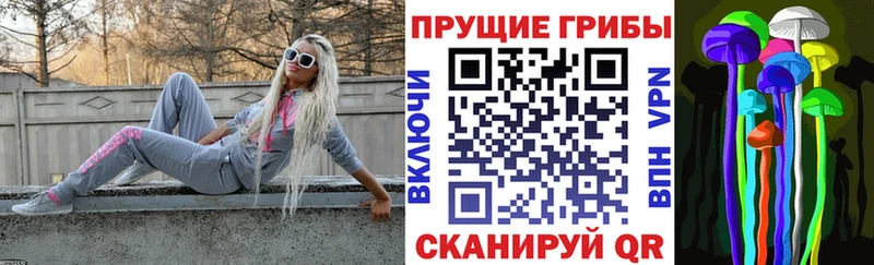 Купить где  Козловка  Галлюциногенные грибы Psilocybe 